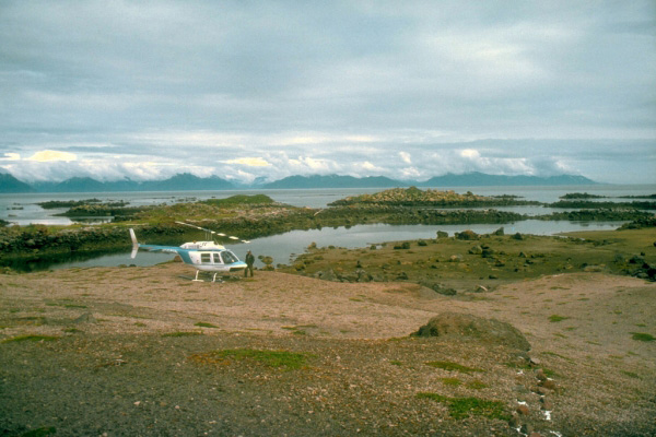 Debris avalanche deposits from the 1883 eruption of 
Augustine Volcano form small hills and islets at Burr Point 
on the north shore of Augustine Island. Photograph by S. 
McNutt, Geophysical Institute, University of Alaska, July 
31, 1992.